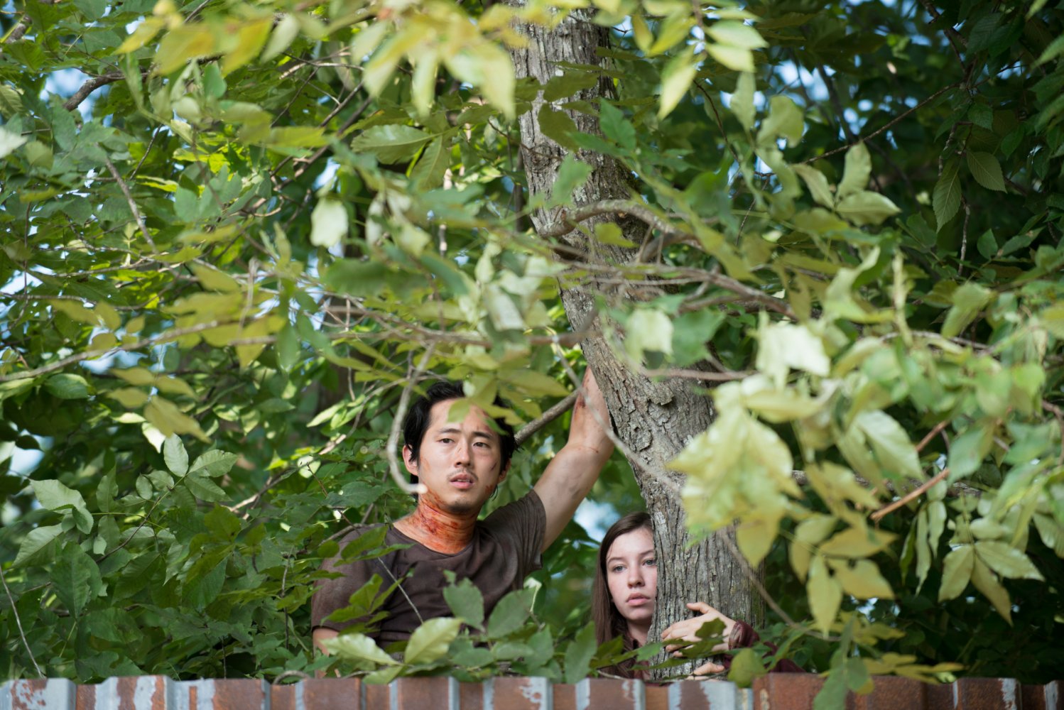 Katelyn Nacon