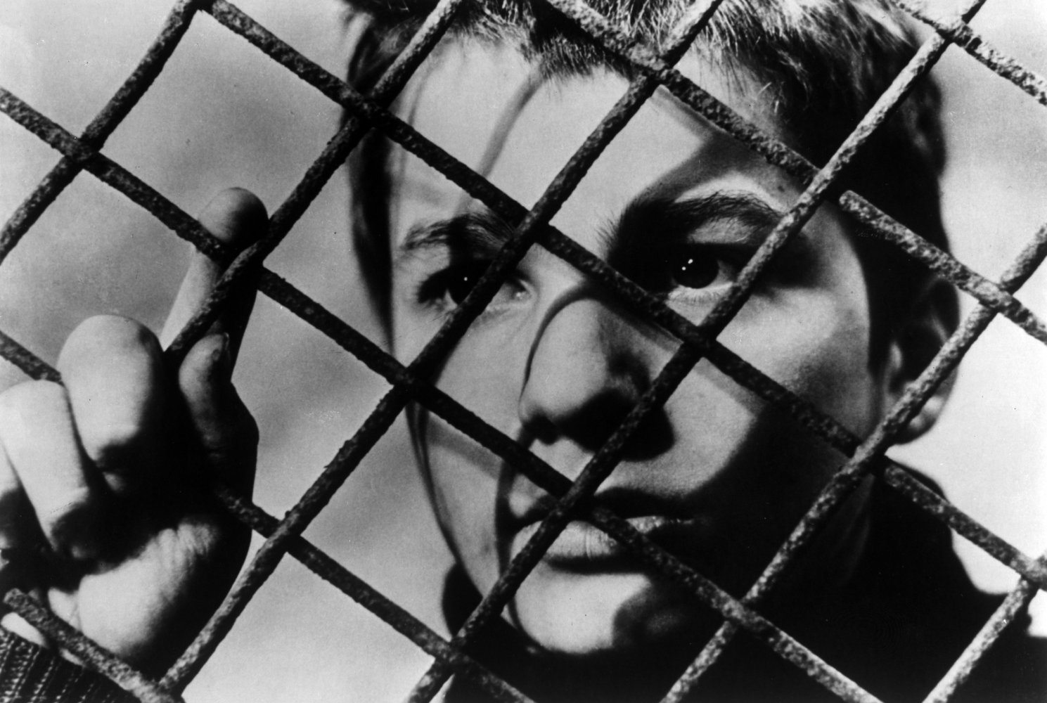 Jean-Pierre Léaud