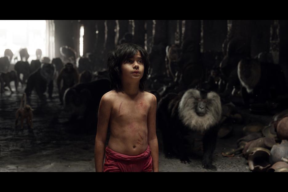 Neel Sethi