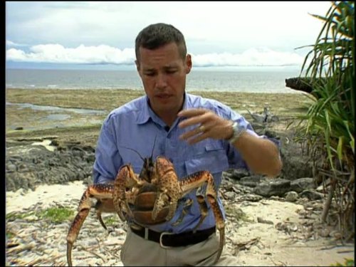 Jeff Corwin