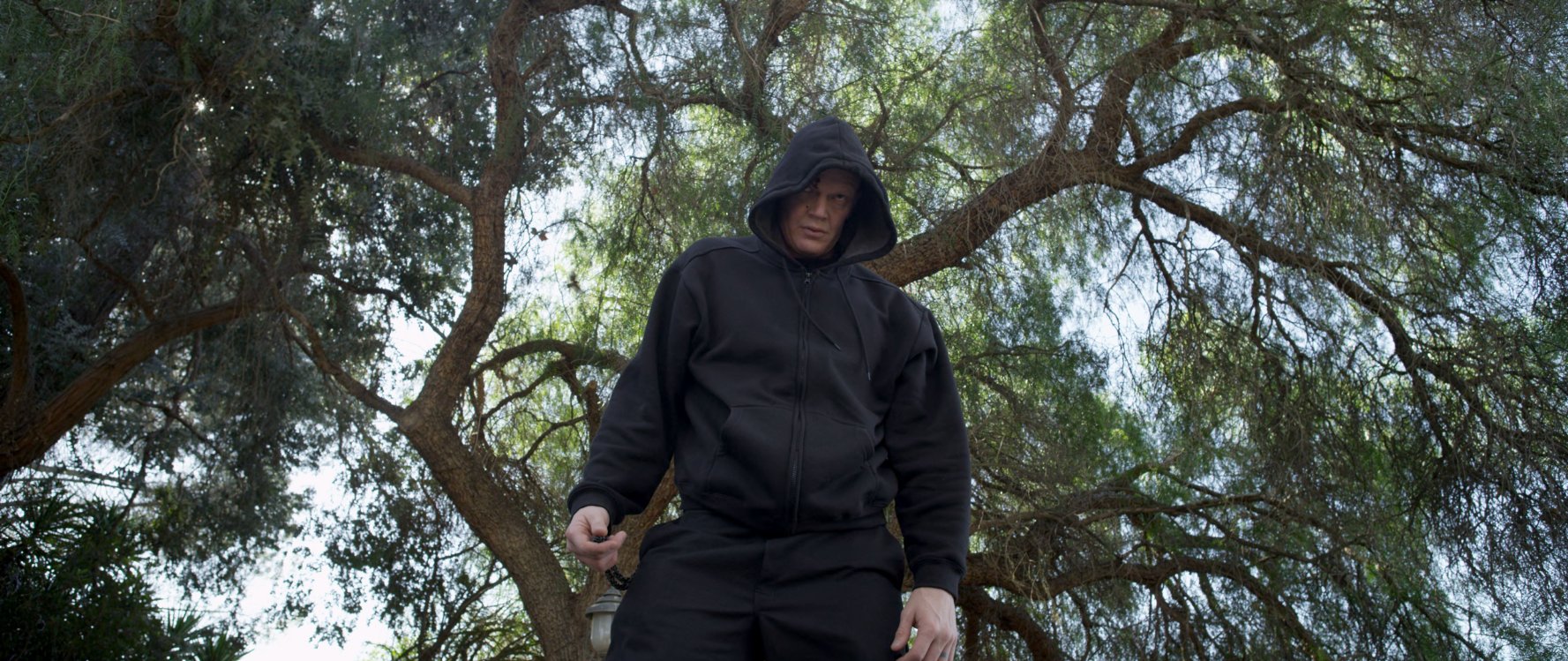 Derek Mears