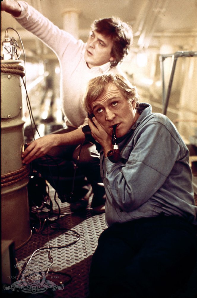 David Hemmings