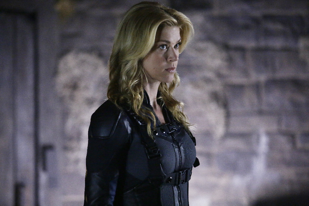 Adrianne Palicki
