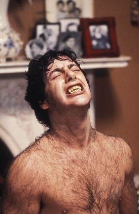 David Naughton