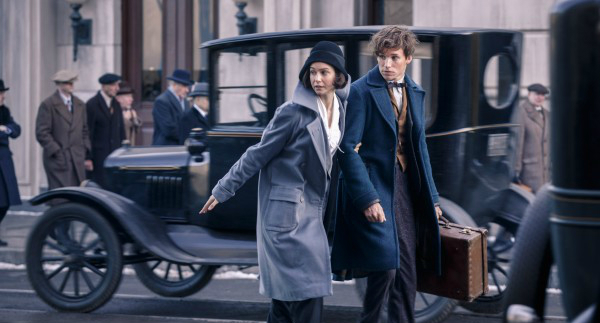 Katherine Waterston