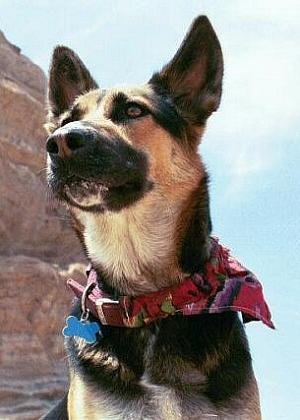 Sadie