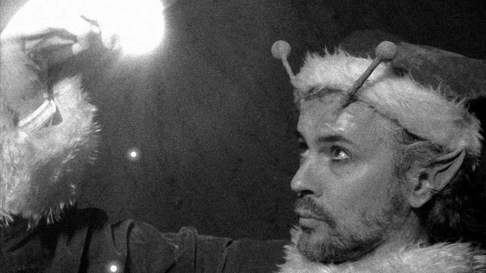 Wayne Coyne