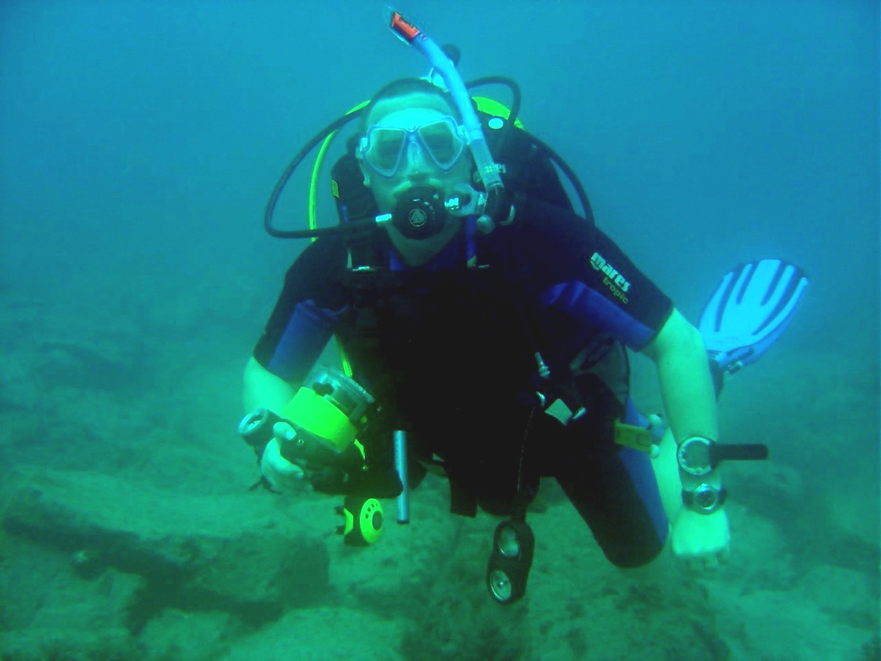 Steve Aldis