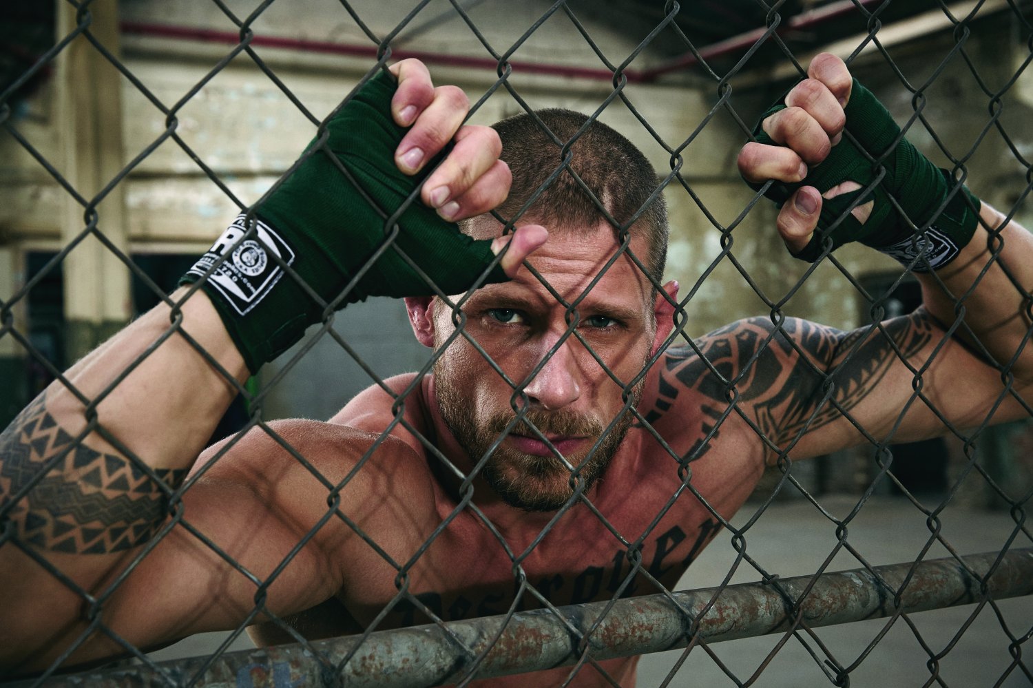 Matt Lauria