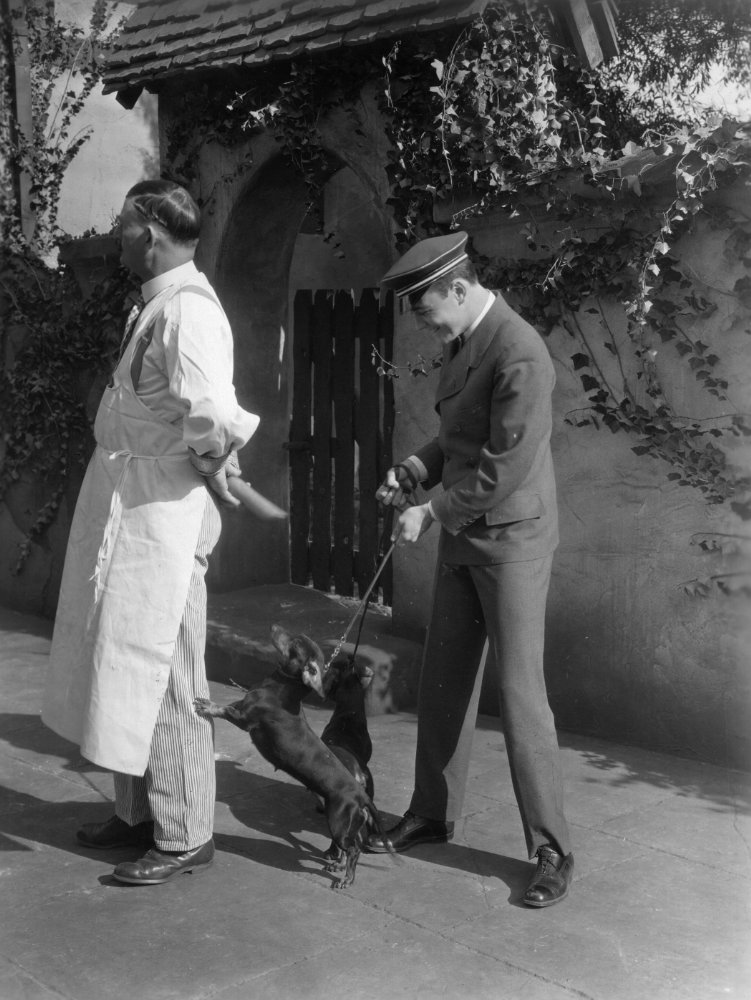 Lew Ayres