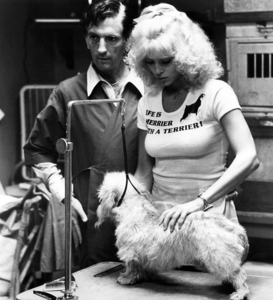 Judy Landers
