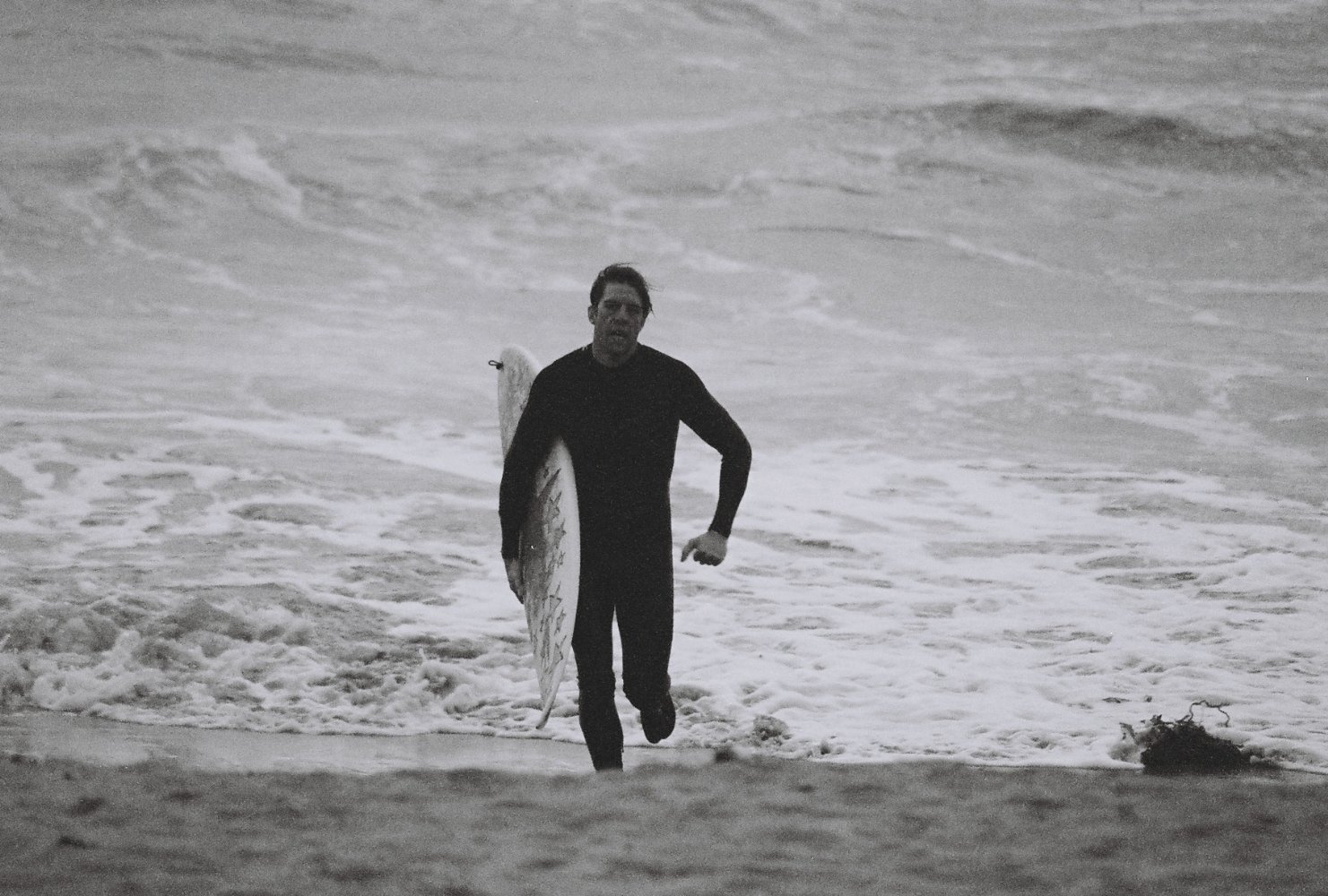 Mark Dippolito