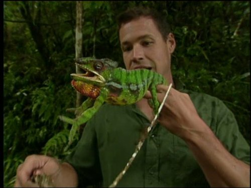 Jeff Corwin