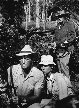 Jack Hawkins