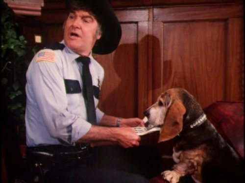 James Best