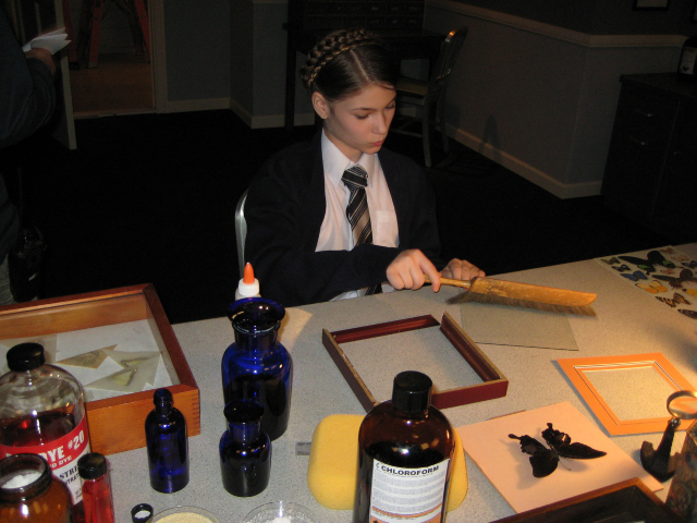 Julia Putnam