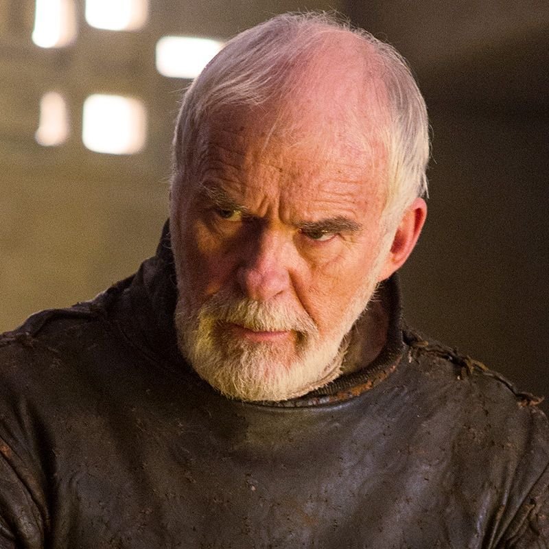 Ian McElhinney hamlet