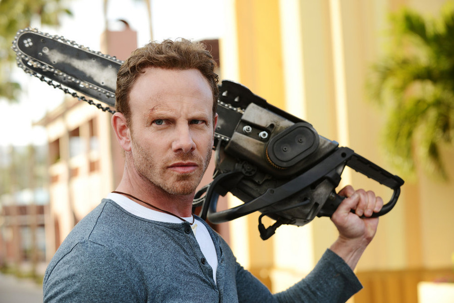 Ian Ziering