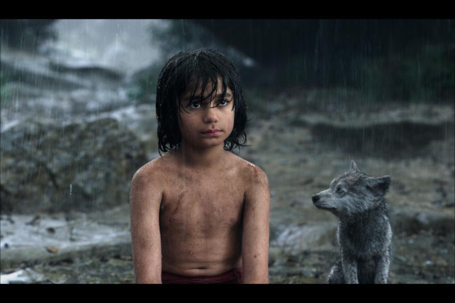 Neel Sethi