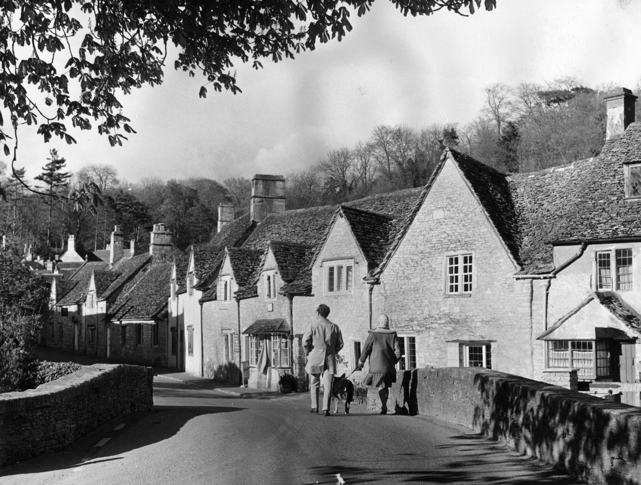 Rex Harrison