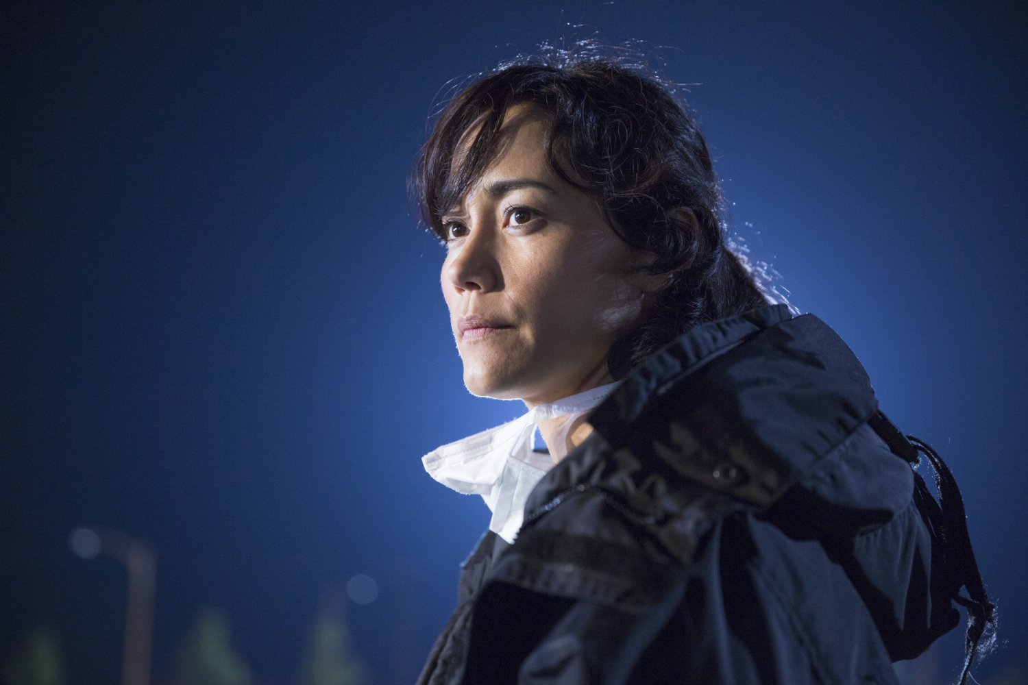 Sandrine Holt