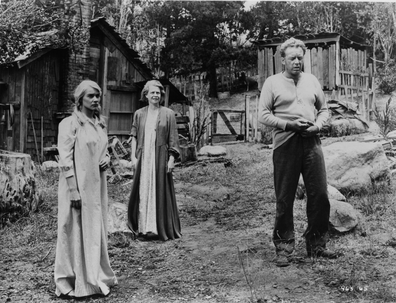 Hope Lange