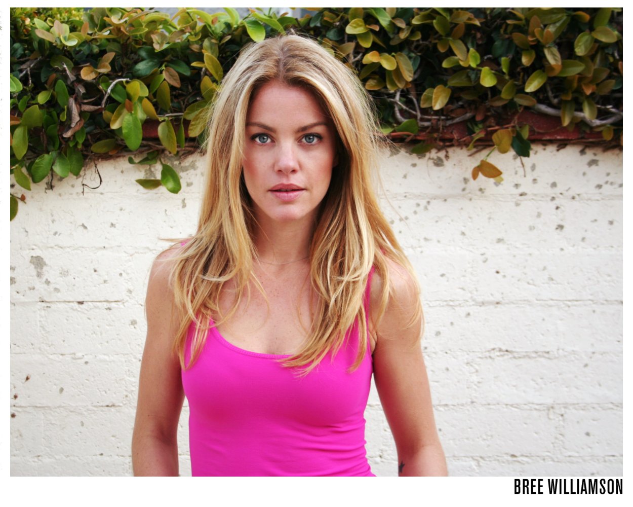 Bree Williamson