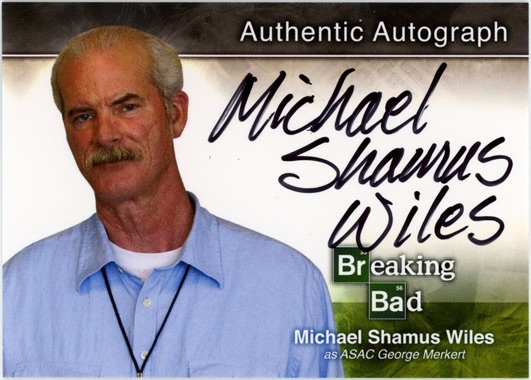 Michael Shamus Wiles