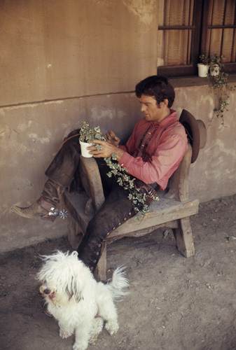 James Stacy