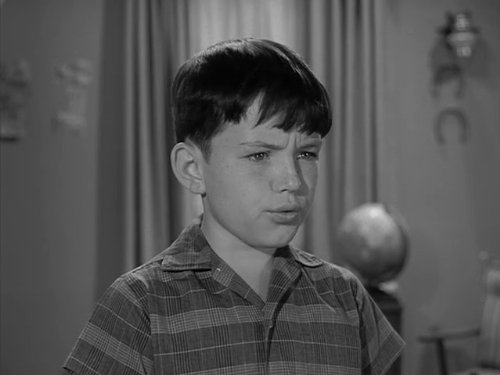 Jerry Mathers