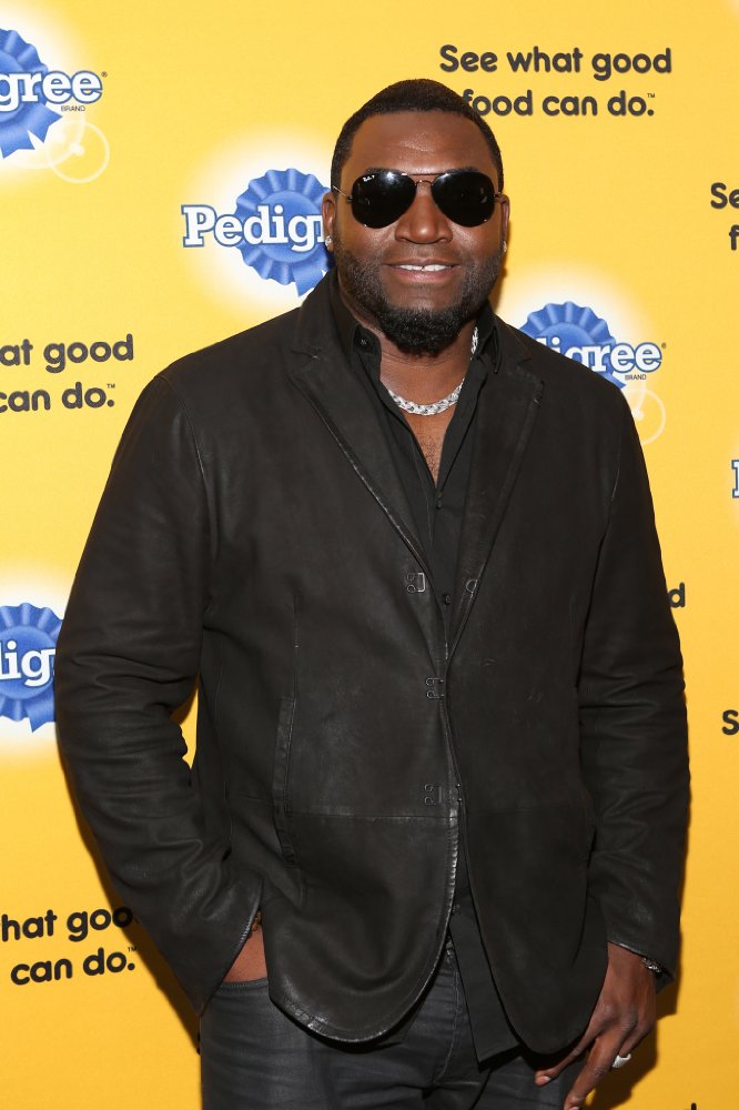 David Ortiz