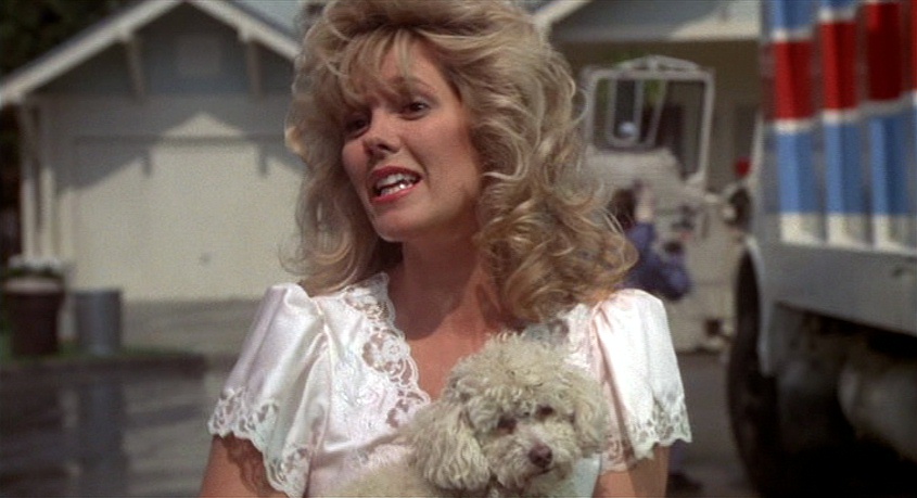 Wendy Schaal