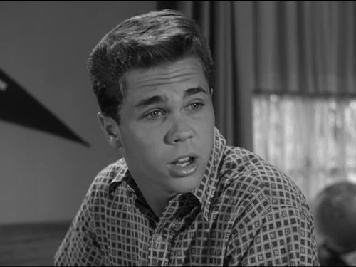Tony Dow