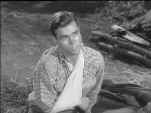 Darryl Hickman