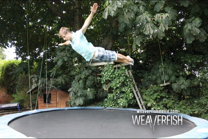 Josh Ockenden