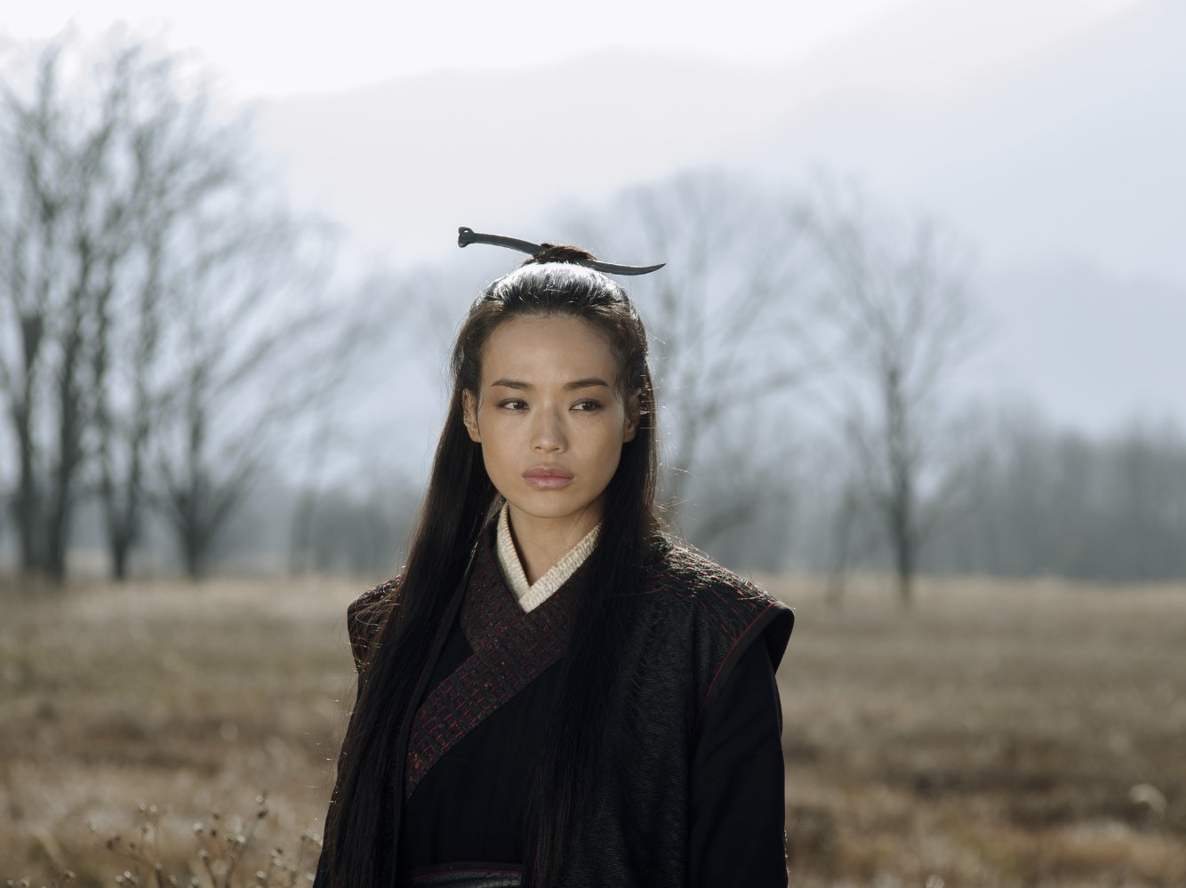 Qi Shu
