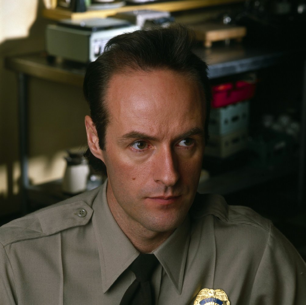 Harry Goaz