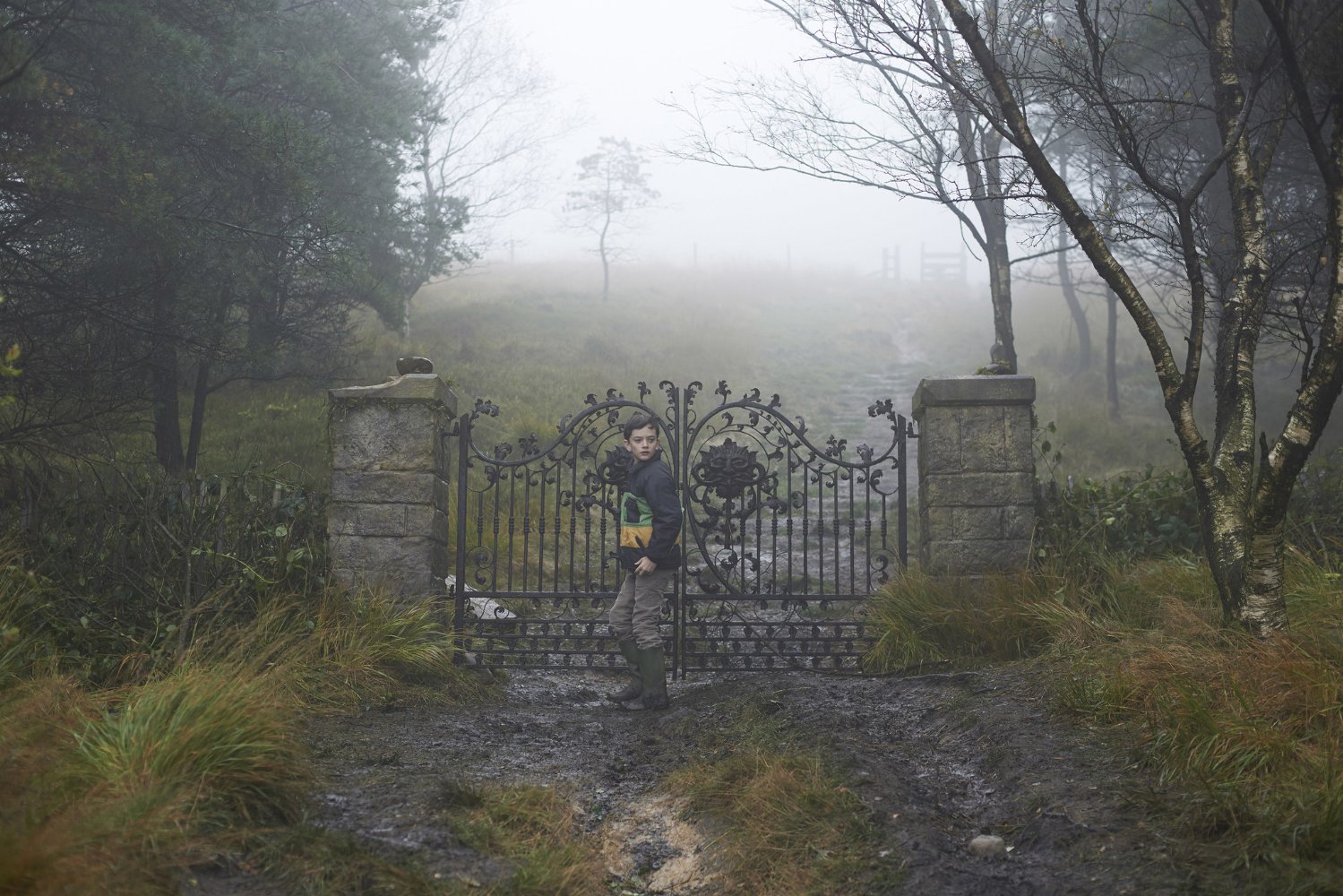 Lewis MacDougall
