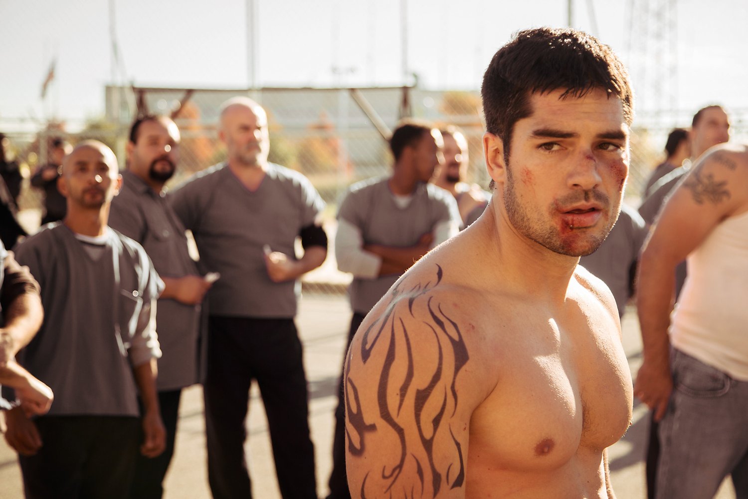D.J. Cotrona