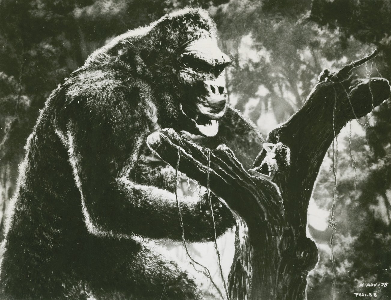 King Kong