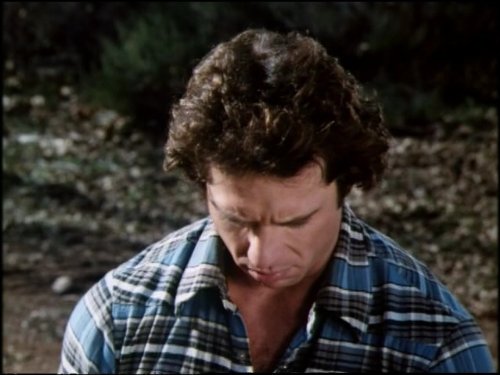 Tom Wopat