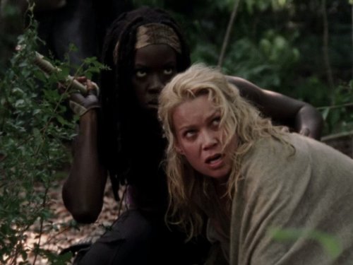 Laurie Holden
