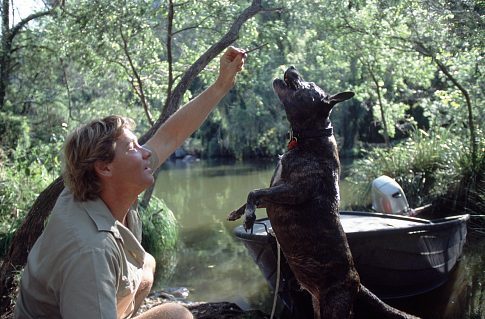 Steve Irwin