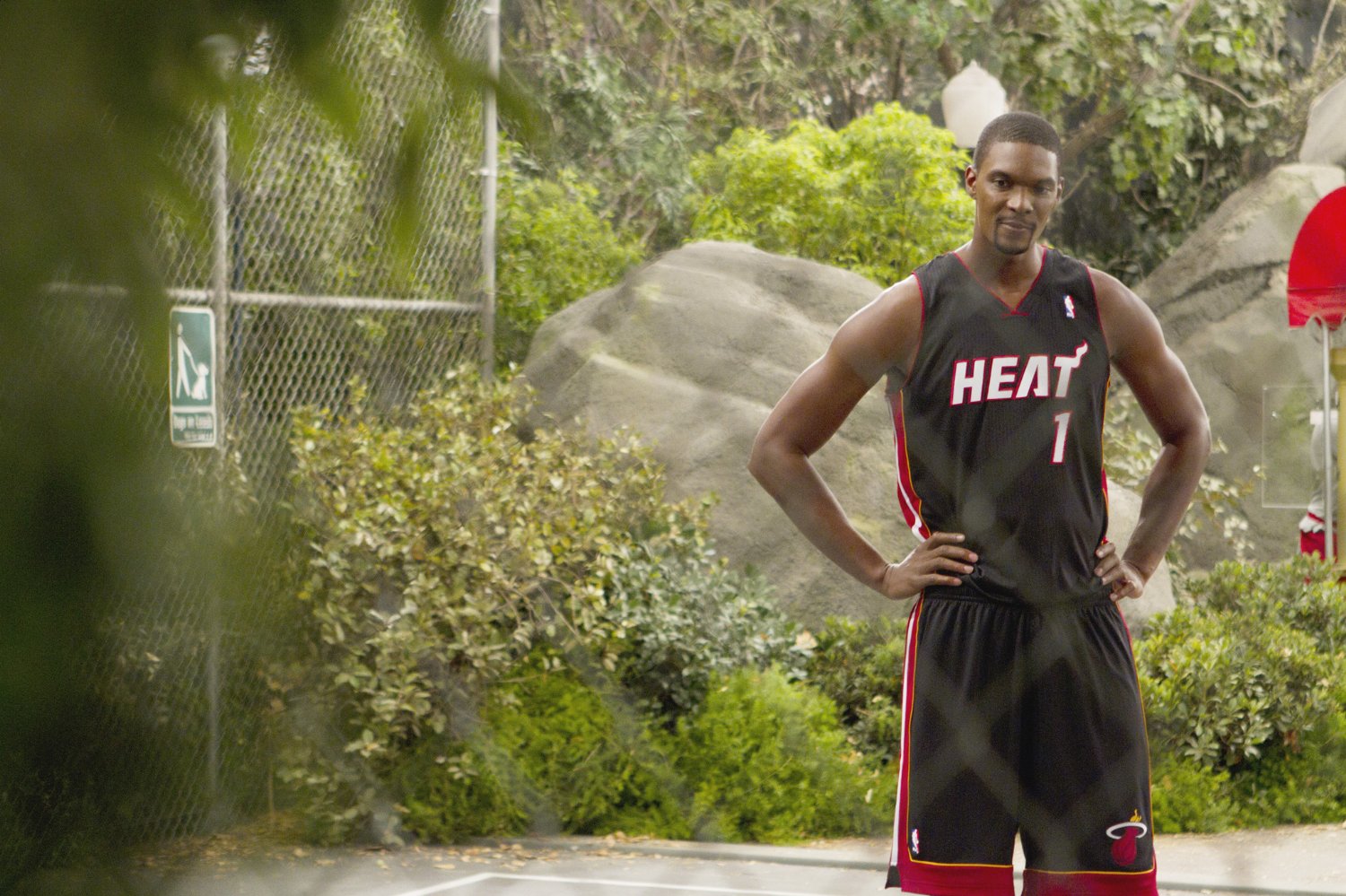 Chris Bosh
