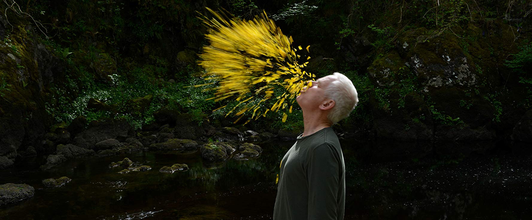 Andy Goldsworthy