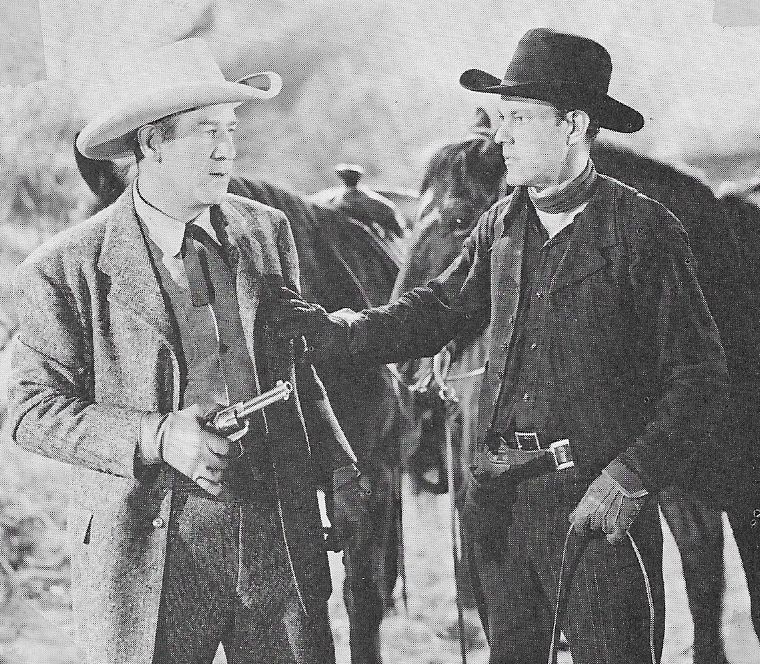 Tom Steele