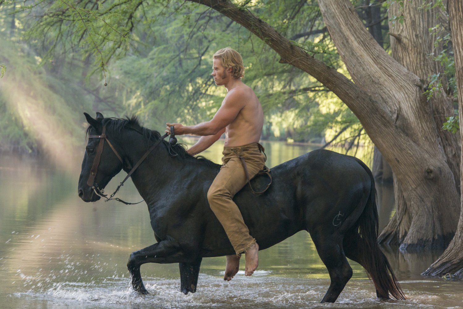 Trevor Donovan