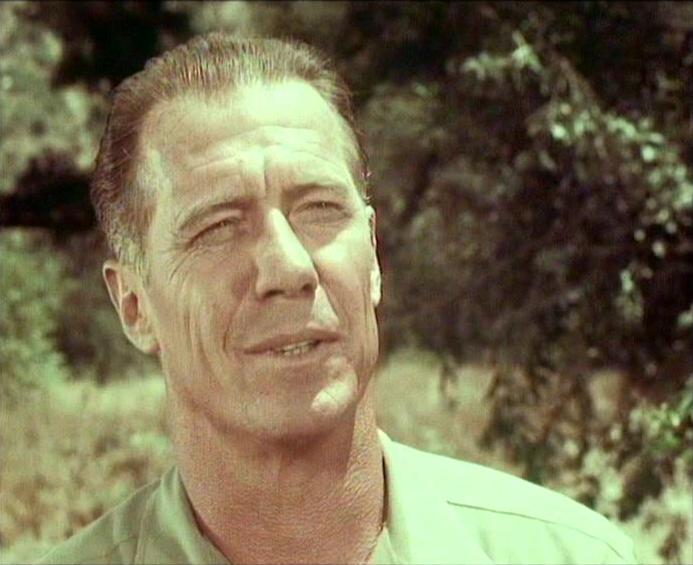 Robert Bray