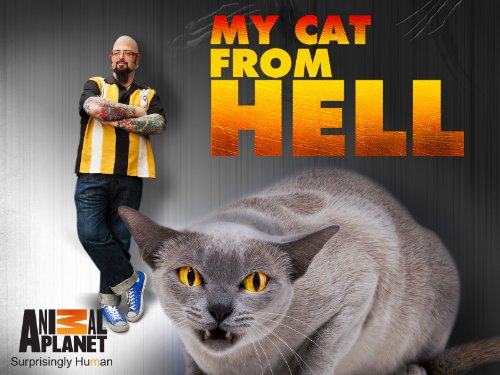 Jackson Galaxy
