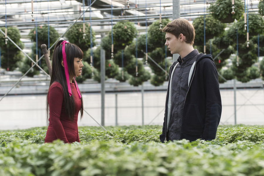 Robbie Kay